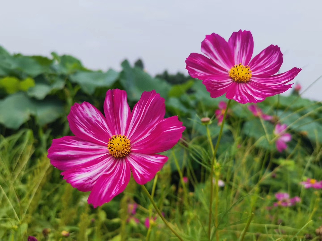 发现自然中的美（图ZMTc2NTcwMzM2） - 风光摄影 - 站酷设计师生活是自己的原创素材 - 站酷ZCOOL