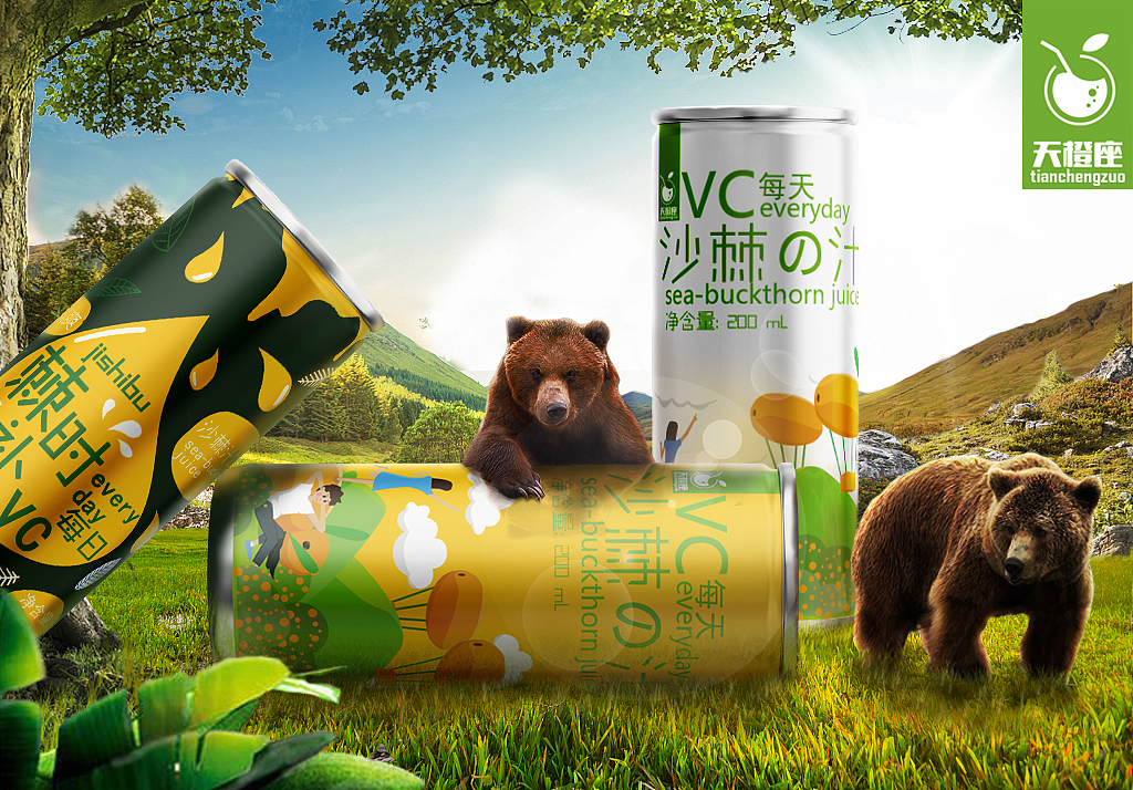我的毕业设计——自创品牌“天橙座”沙棘汁全案设计