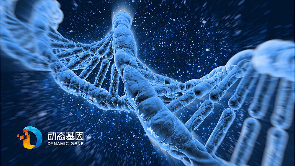 动态基因品牌标志设计