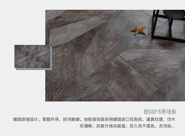 乐豪斯A4精英主张,现代智能化风格!