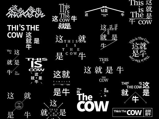 【字演生肖】文字编排的可变性实验Part.2