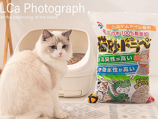 猫砂