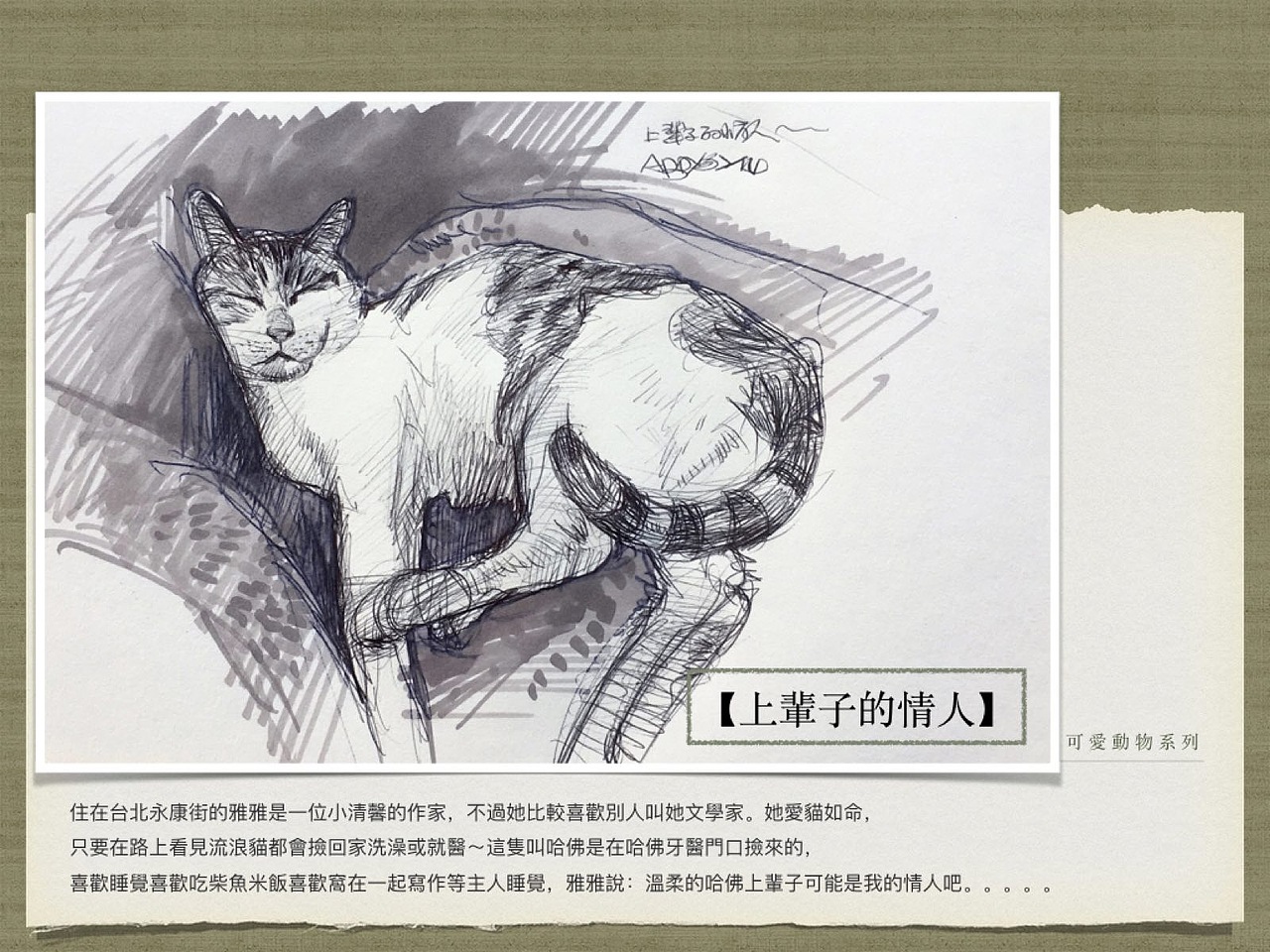 【可愛寵物系列】