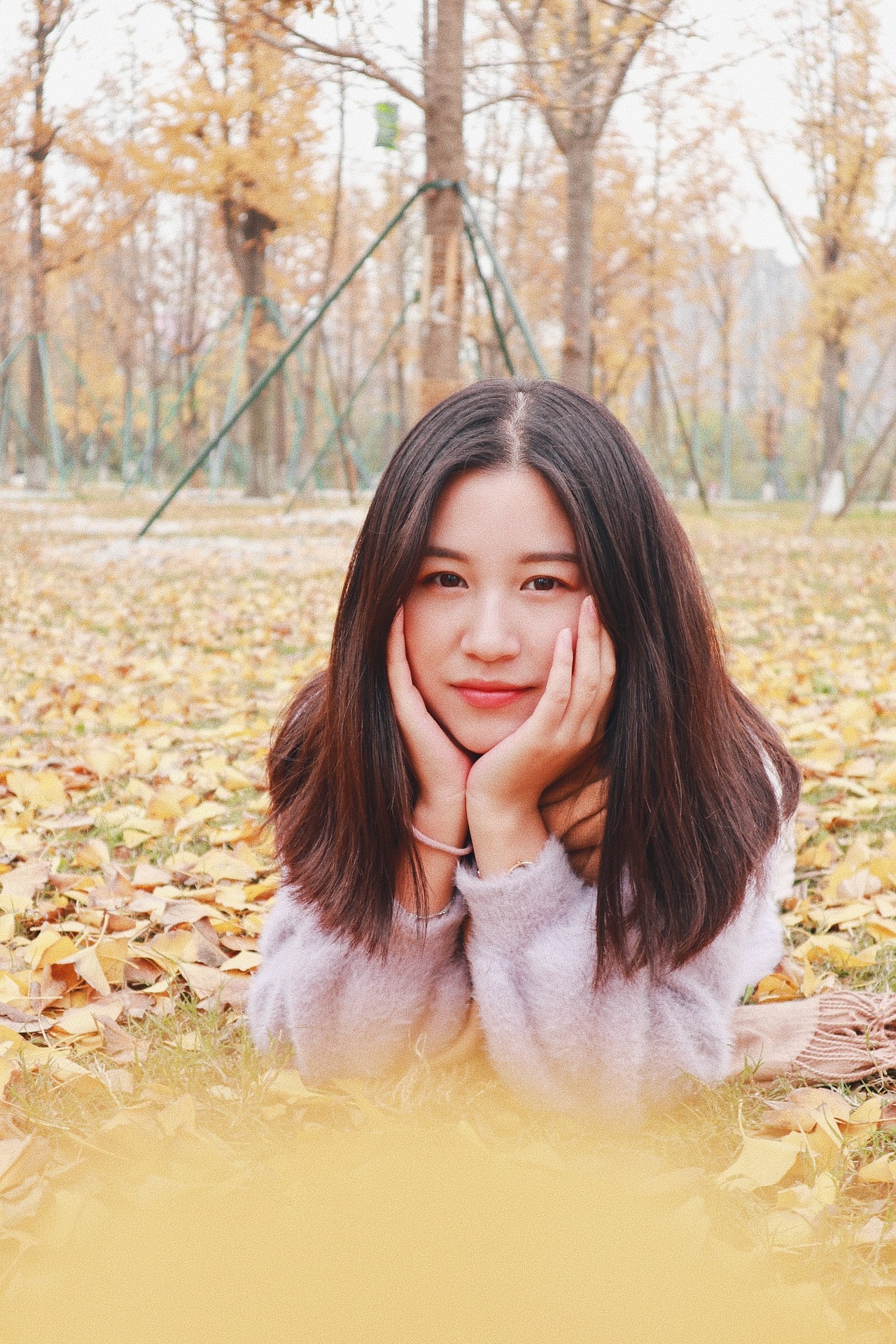 银杏黄,秋的色彩