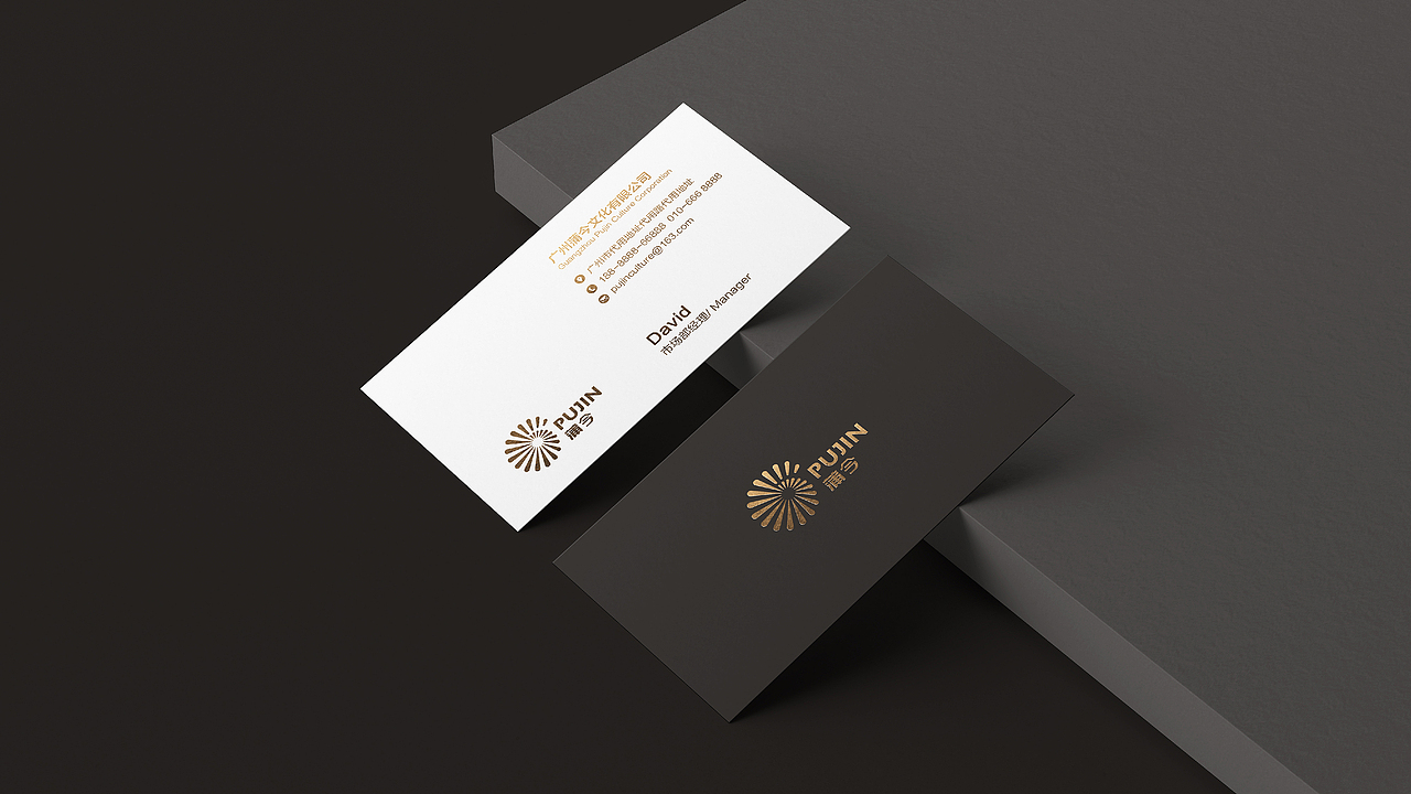 PUJIN蒲今文化有限公司Logo设计/VI设计（图ZMjIwNDk1MTU2） - 品牌 - 站酷设计师HAm蒋蒋原创素材 - 站酷ZCOOL