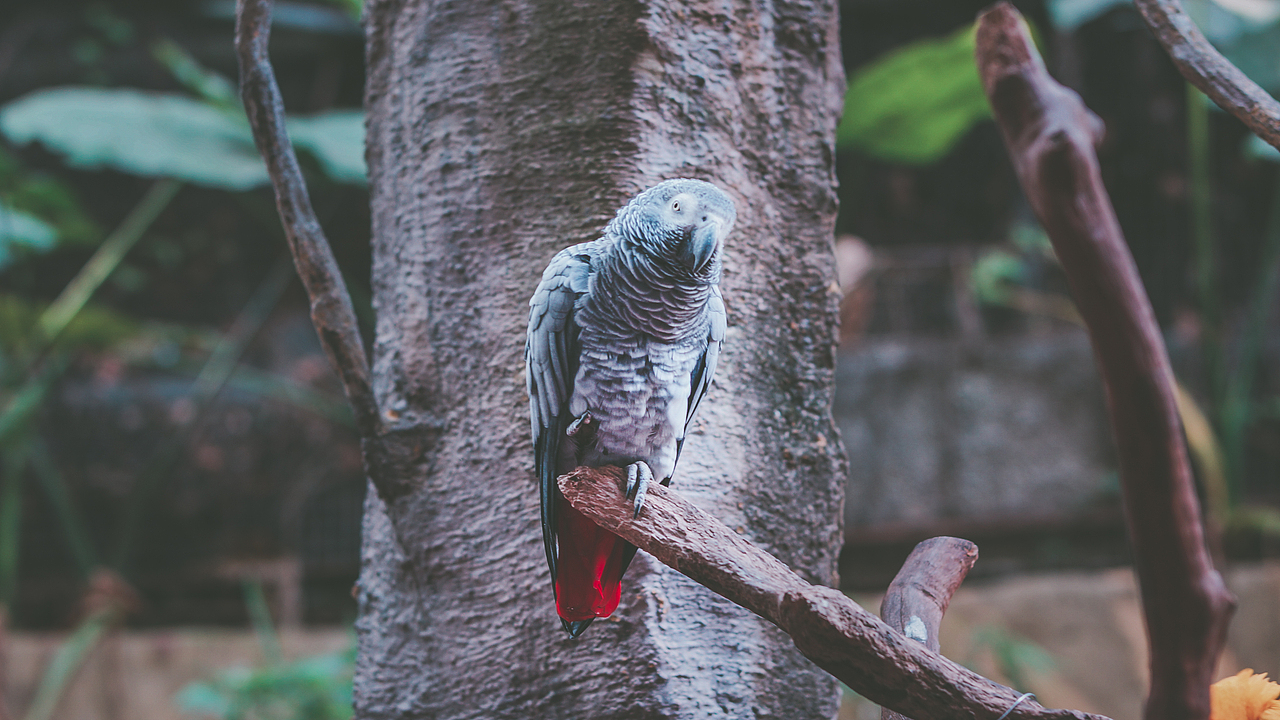 起标题真的很难