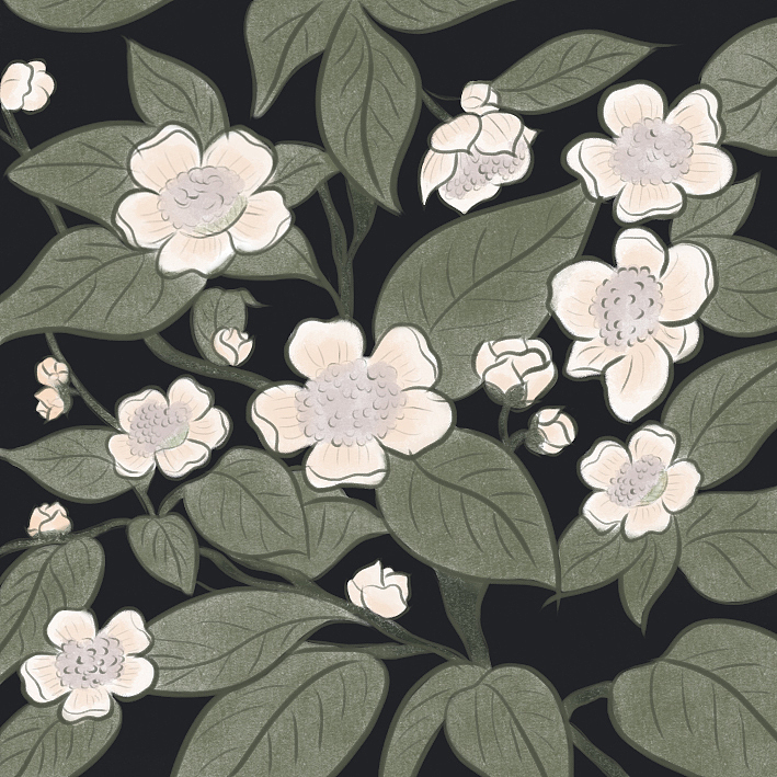 HECHA-产品包装设计（图ZMjYwMTMyMDAw） - 包装 - 站酷设计师G玉儿原创素材 - 站酷ZCOOL