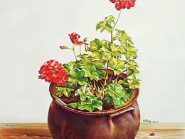 彩铅画