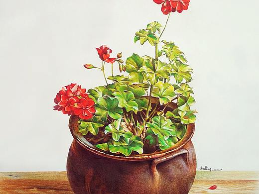 彩铅写实装饰画盆栽花