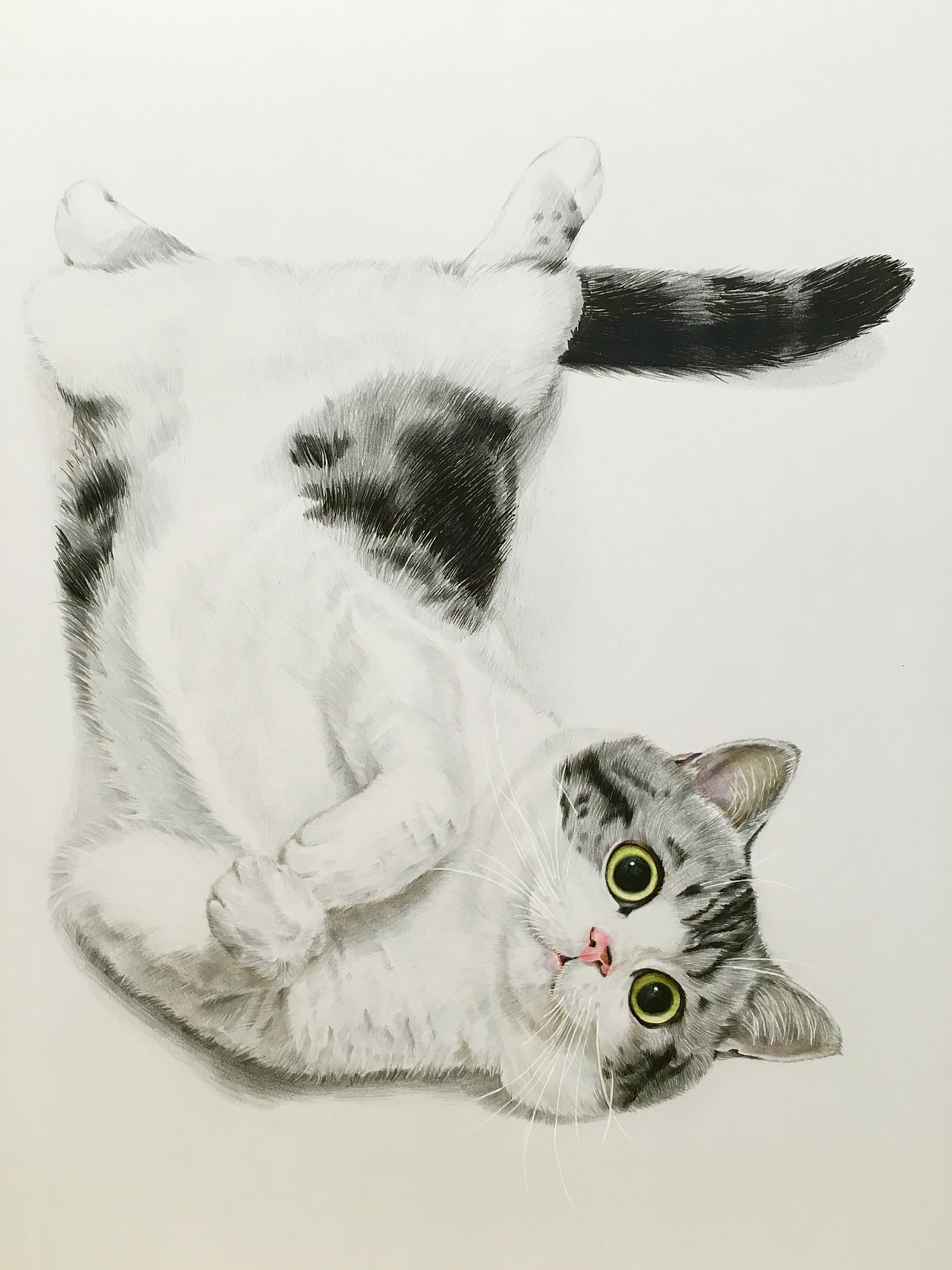 凯蒂猫素描画,凯蒂猫素描,凯蒂猫简笔画_大山谷图库