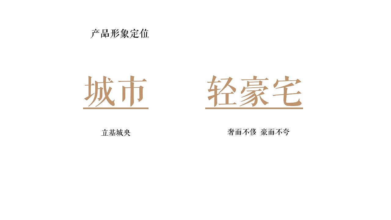 张家口某项目整合推广策略方案