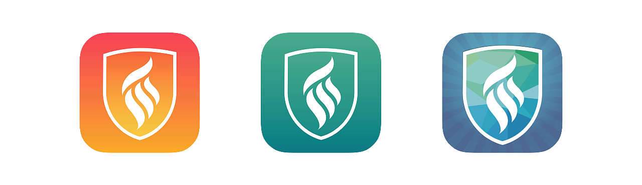 云盾网力logo改良设计