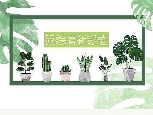 小清新绿植