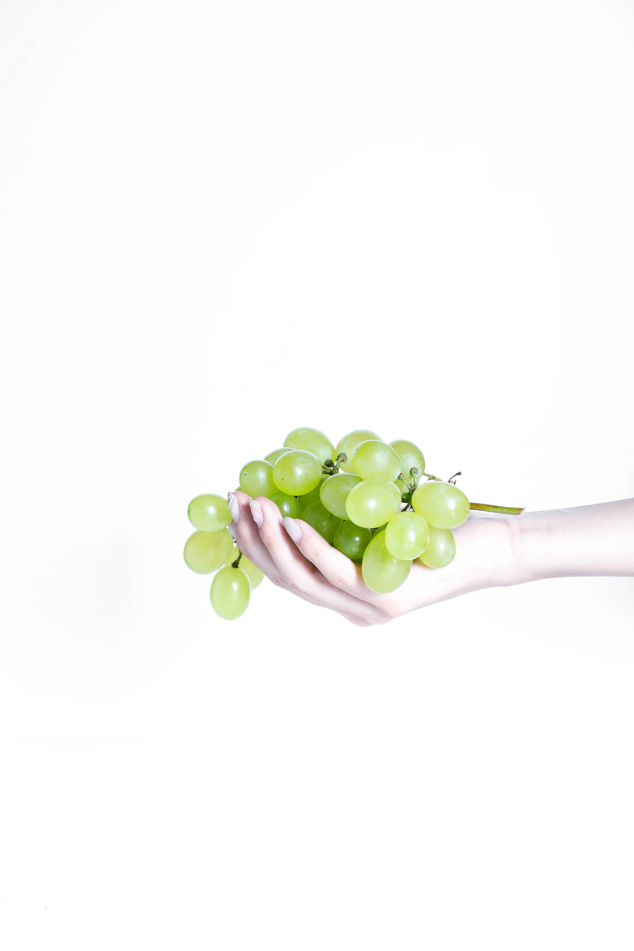 青提一夏（水果摄影）