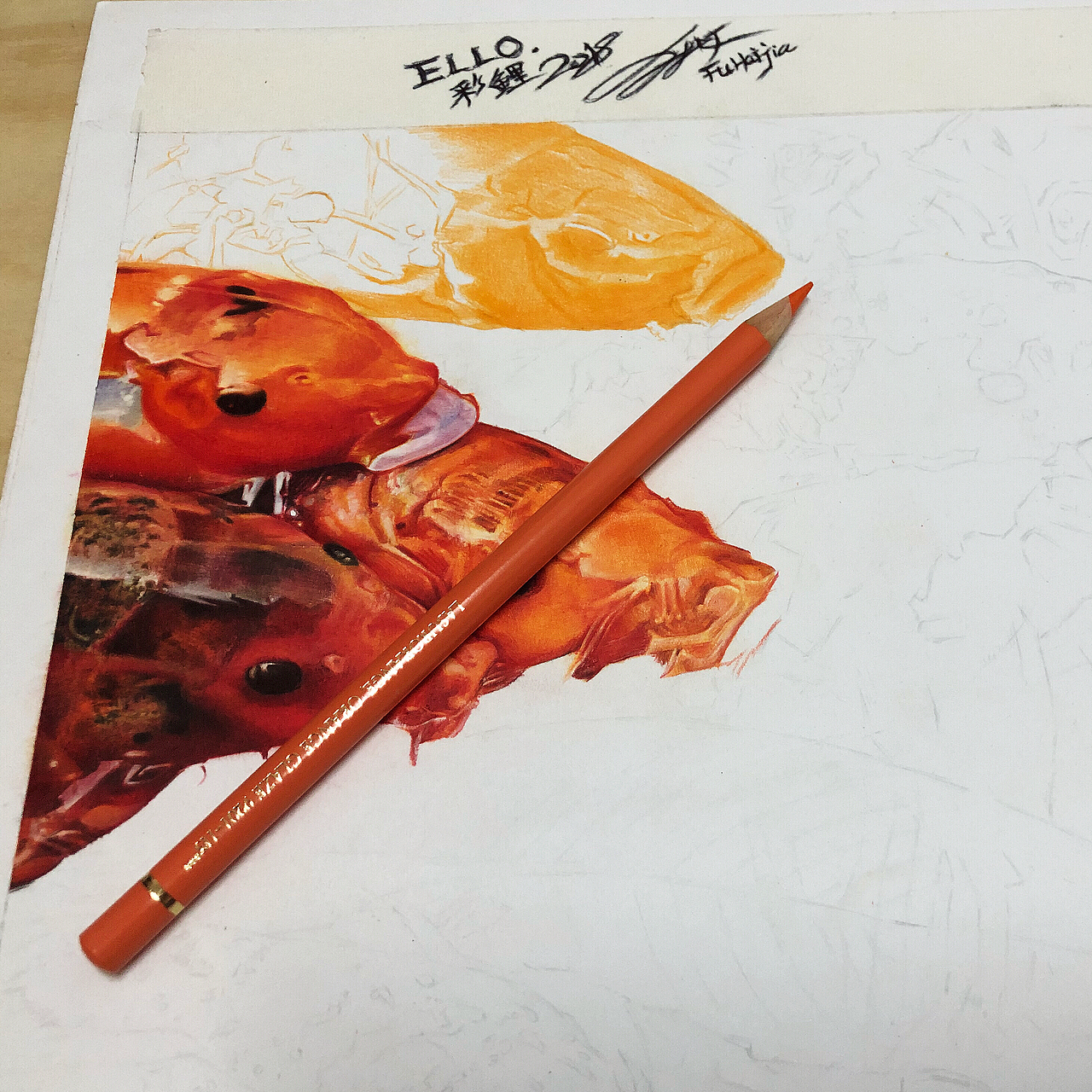 彩铅作品《彩鲤》（图ZMTMwMzA3NTY0） - 创作习作 - 站酷设计师傅海嘉原创素材 - 站酷ZCOOL