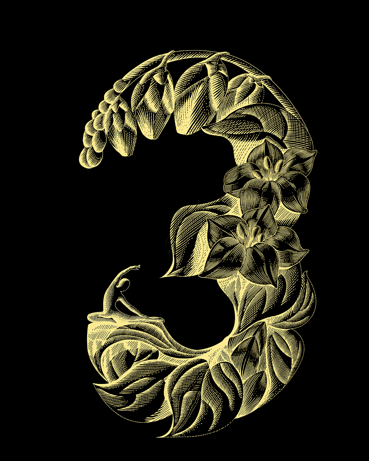 三匠苦荞茶芦丁博士包装