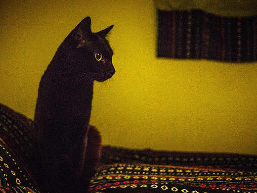 日常打卡（個人主頁-ZMjY0MDc1MjQ=） - 創(chuàng)作習作 - 站酷設計師花生味的瓜子原創(chuàng)素材 - 站酷ZCOOL