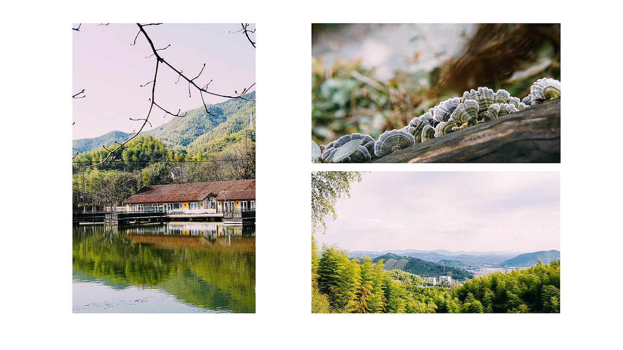 D.Z 摄影作品集（图ZMTEyMzY4MDUy） - 环境/建筑摄影 - 站酷设计师叮子原创素材 - 站酷ZCOOL