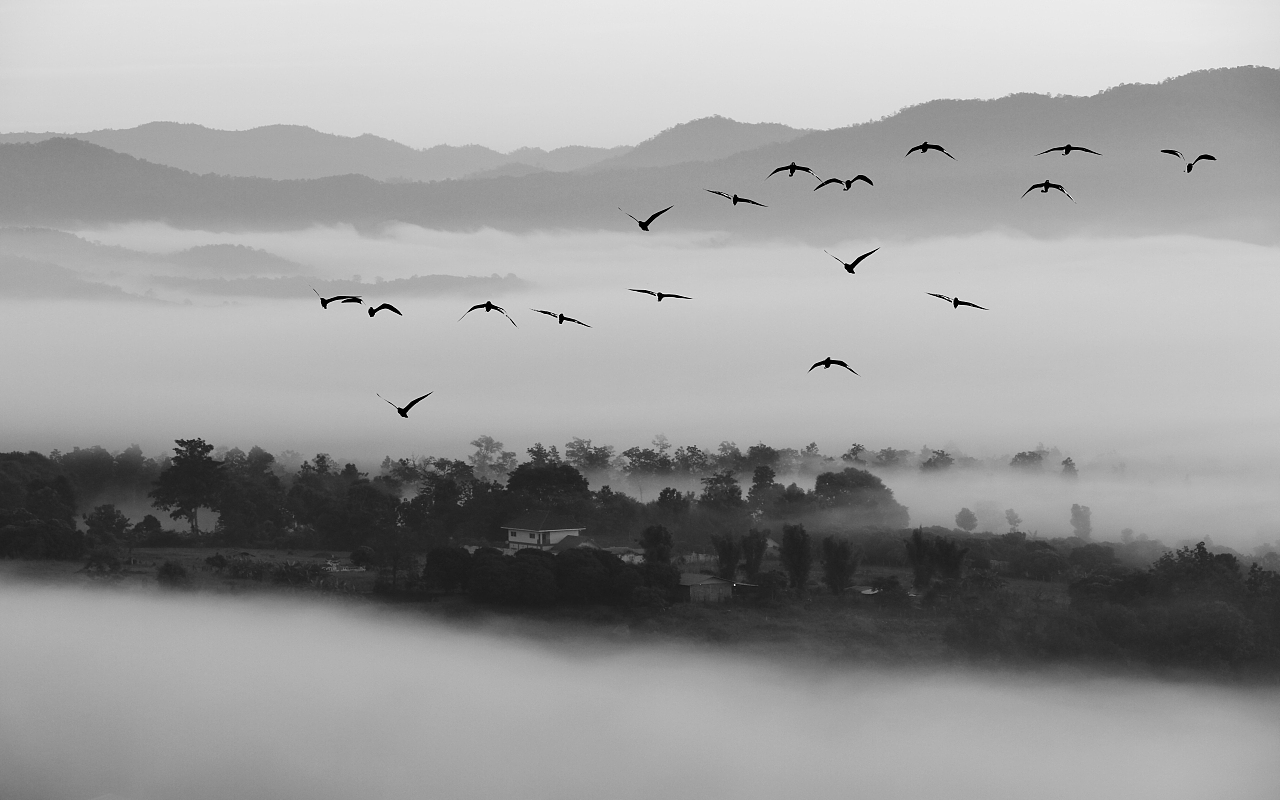 2019山水2（图ZMTY5MDA2MTU2） - 品牌 - 站酷设计师新中式纱画图库原创素材 - 站酷ZCOOL