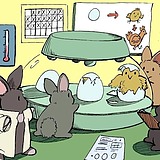 Rabbit先生的头像