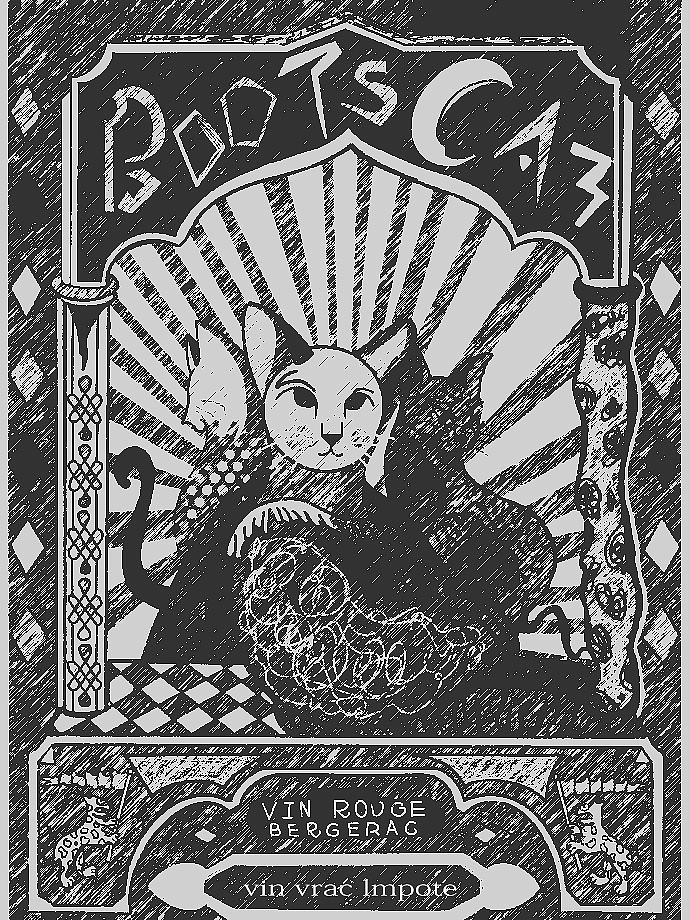 《穿鞋子的猫》