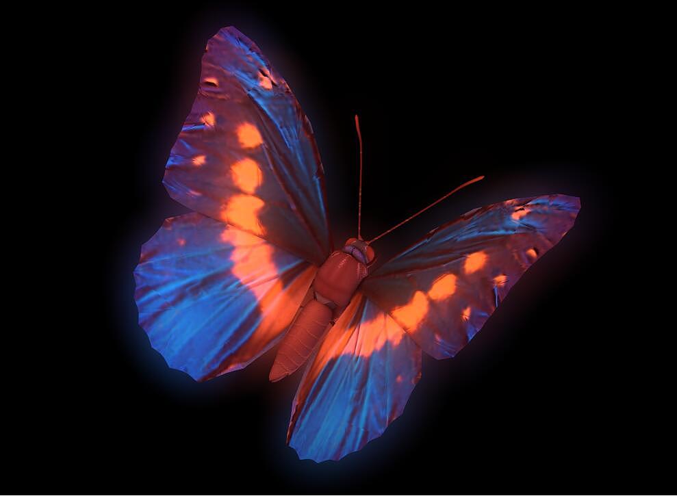 c4d制作的荧光蓝蝴蝶