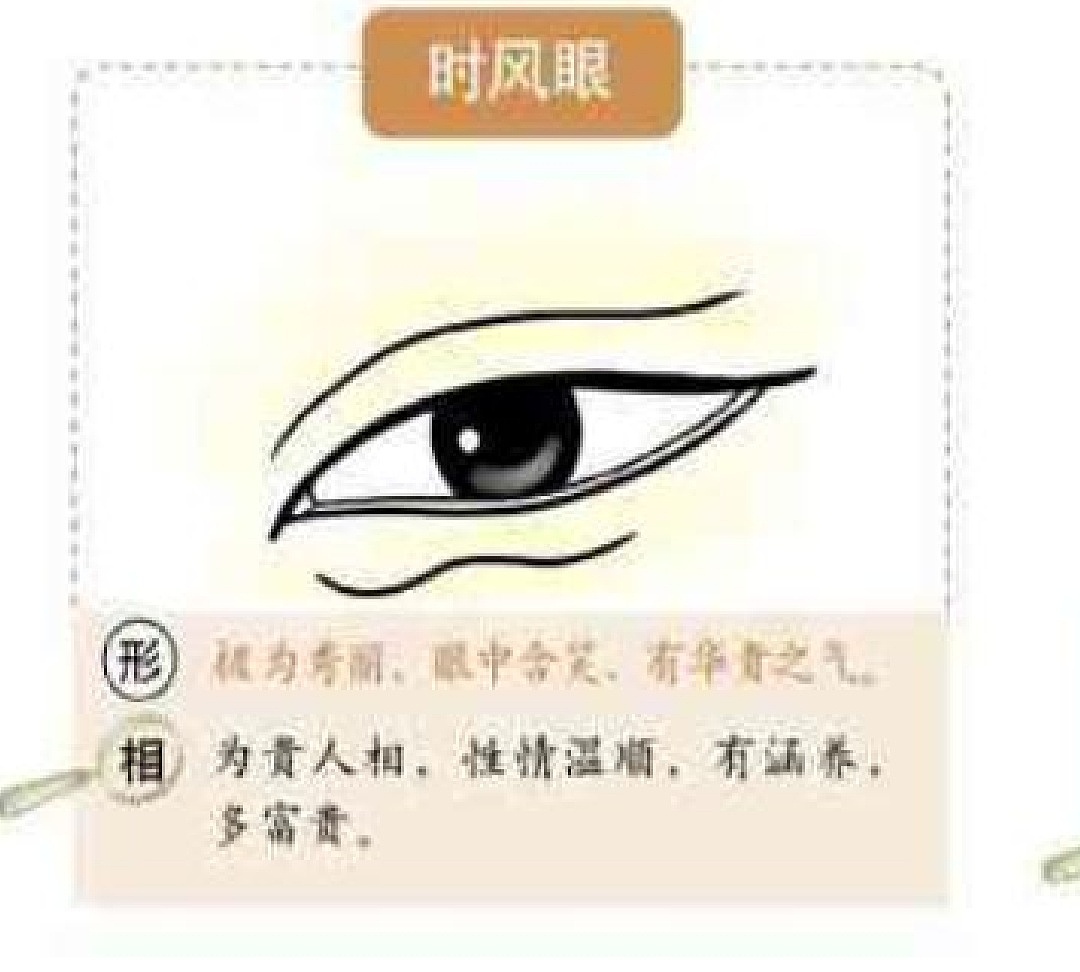 麻衣神相中眼型