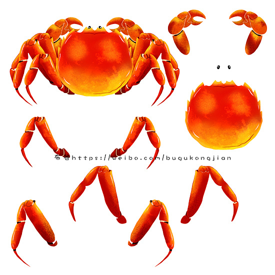 手绘螃蟹大闸蟹|插画|商业插画|anniebugu - 原创作品 - 站酷 (zcool)