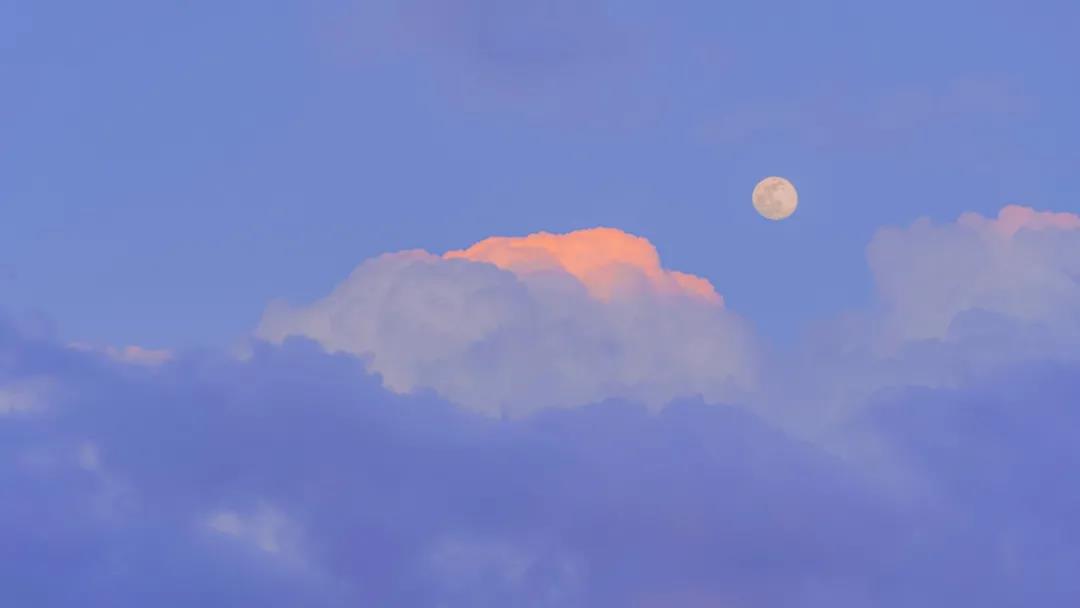 貓掌柜吃糖的個人主頁（背景預(yù)覽） - 主頁背景設(shè)置 - 站酷設(shè)計師貓掌柜吃糖原創(chuàng)素材 - 站酷ZCOOL