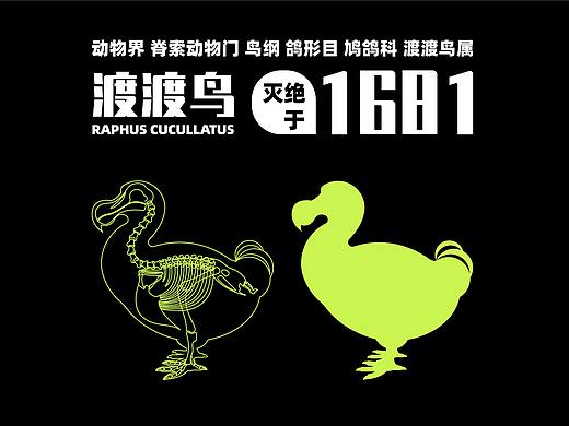 #2023 青春答卷#《白鲟》