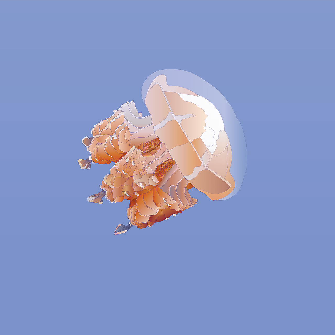 科学主题课系列插画