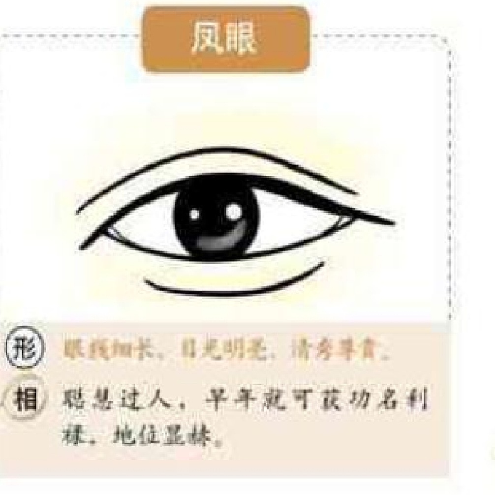 麻衣神相中眼型