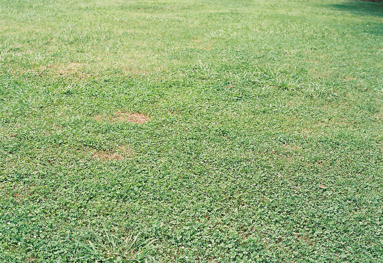 吴熙玮和他的胶片