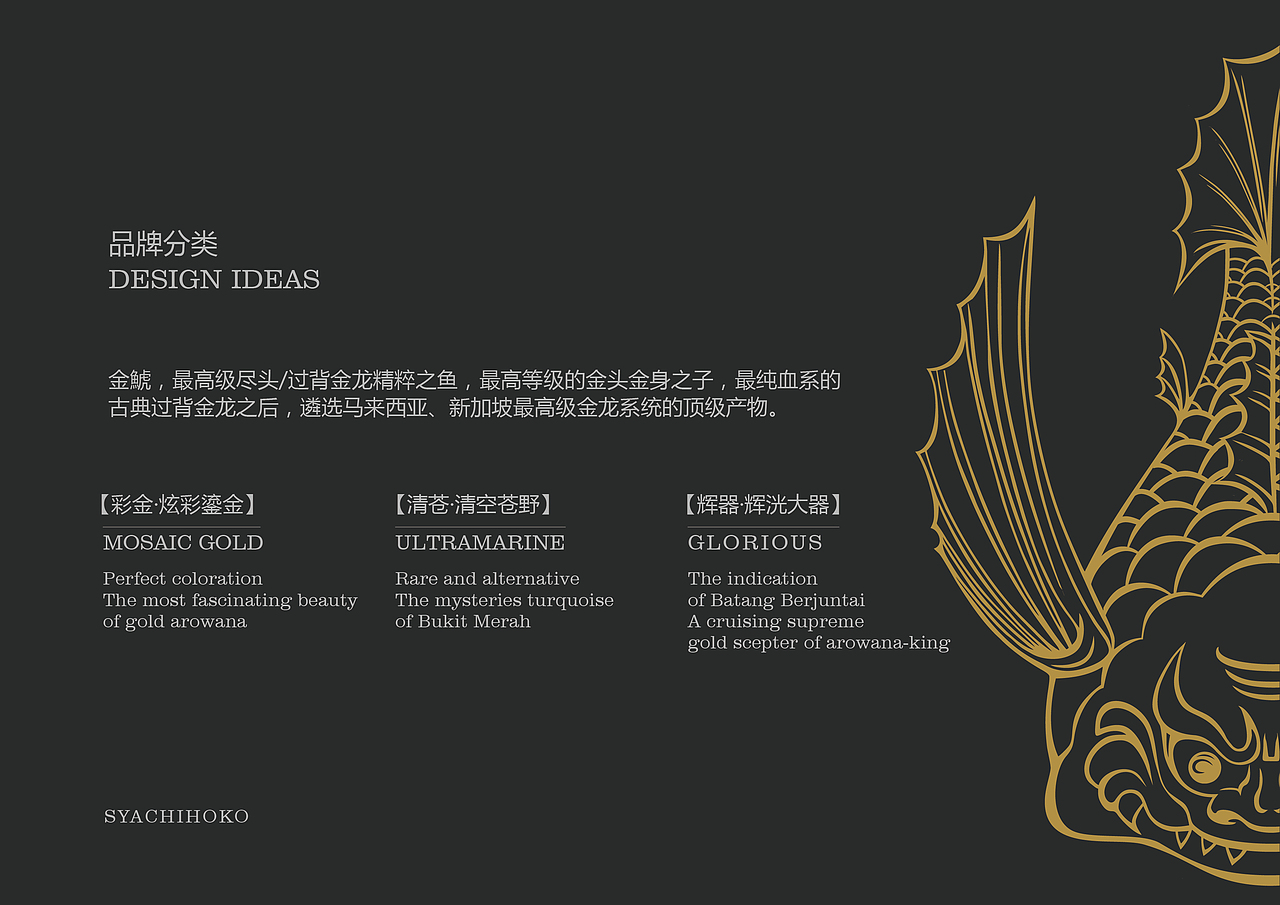 金鯱-龍魚(yú)品牌策劃（圖ZMTkwMzM5OTY0） - 品牌 - 站酷設(shè)計(jì)師一顆白菜啊原創(chuàng)素材 - 站酷ZCOOL