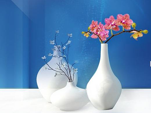 电商Banner
