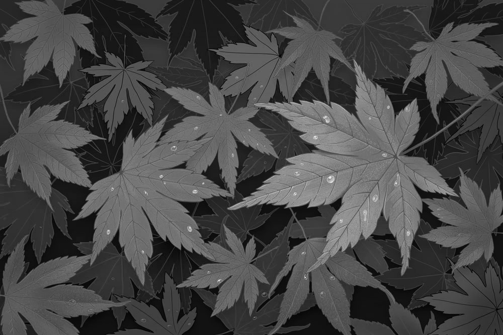 大腫馬的個(gè)人主頁（背景預(yù)覽） - 主頁背景設(shè)置 - 站酷設(shè)計(jì)師大腫馬原創(chuàng)素材 - 站酷ZCOOL