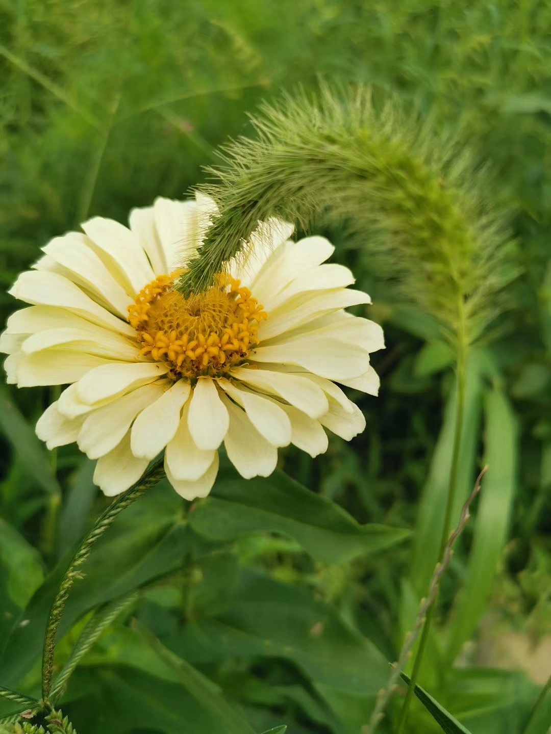 发现自然中的美