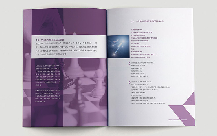 HUAYANG品牌生态报告
