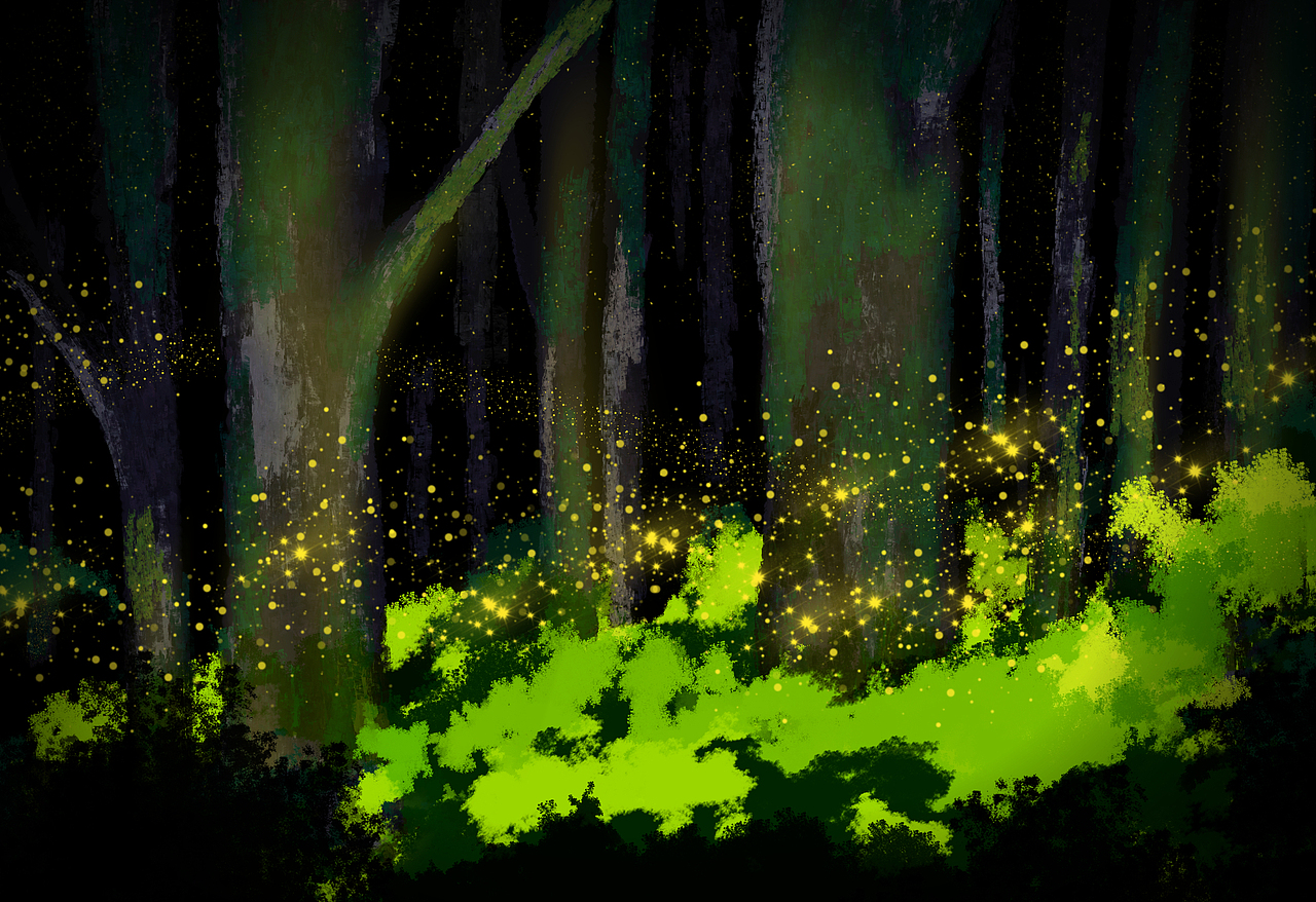 萤火微光,愿为其芒