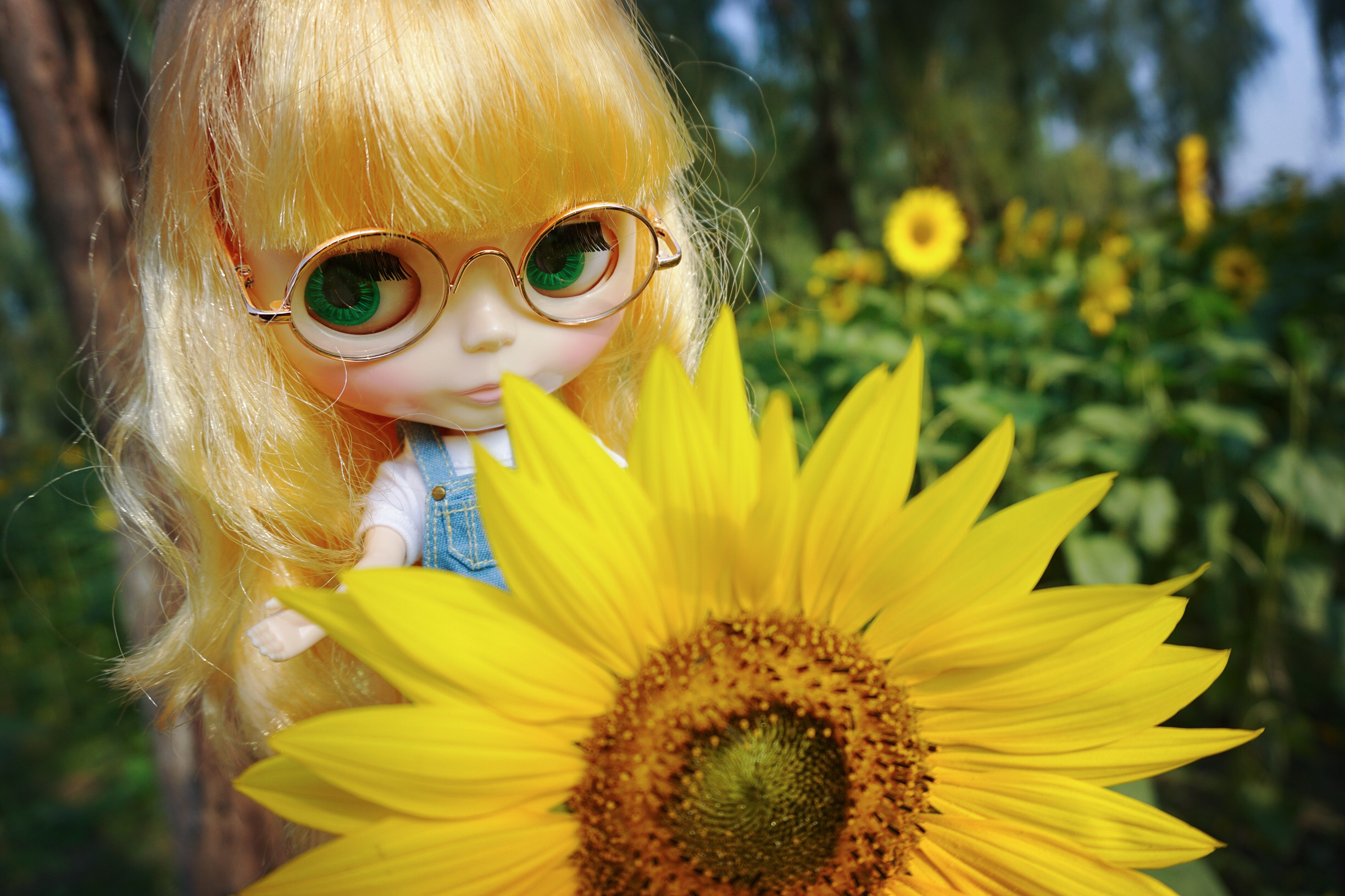 blythe 小布,我人生中的第一次拆盒外景!