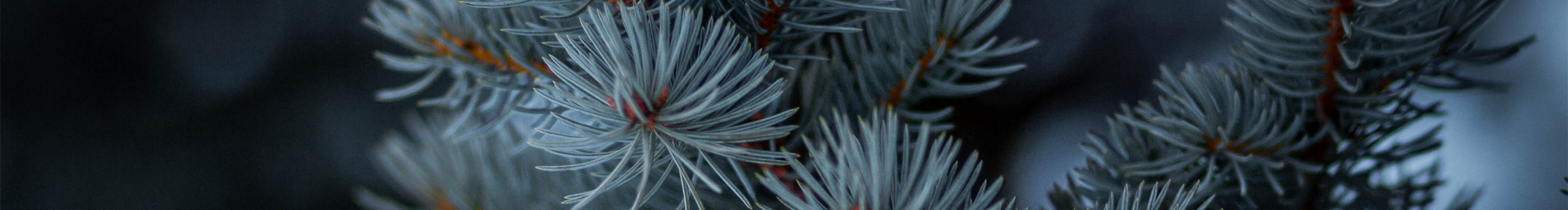 呀嘞呀嘞的个人主页（封面预览） - 主页封面设置 - 站酷设计师呀嘞呀嘞原创素材 - 站酷ZCOOL