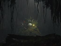 《Light Nature&Glowworm》