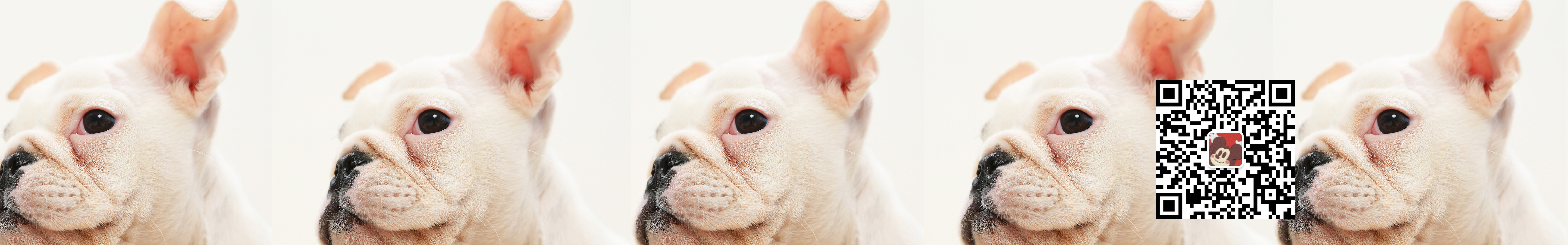 保温杯配可乐的个人主页（封面预览） - 主页封面设置 - 站酷设计师保温杯配可乐原创素材 - 站酷ZCOOL