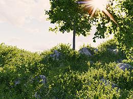 SU野外景觀小實驗