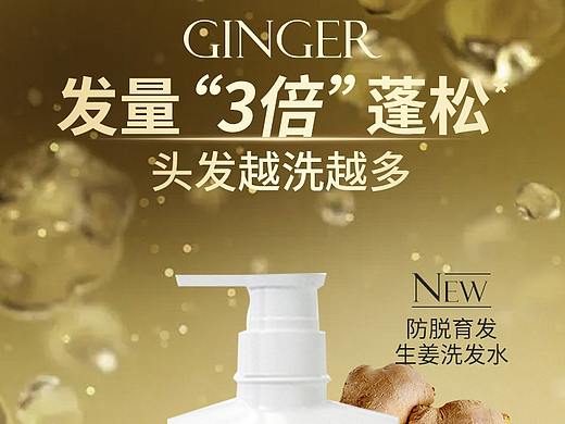 生姜防脱洗发水详情页