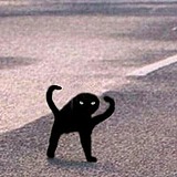 AgJR的头像