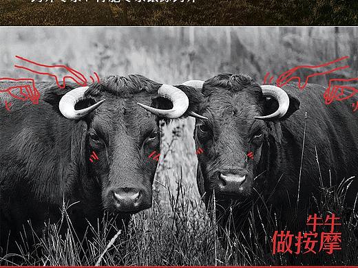 拙劣的实验（个人主页-ZNTY4OTE2NDA=） - 其他平面 - 站酷设计师耿子大魔王原创素材 - 站酷ZCOOL