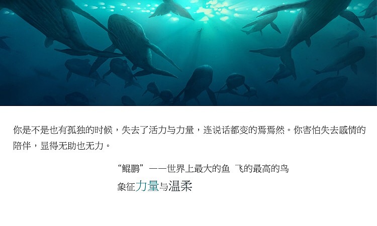 【鲲鹏】大鱼守护灵系列纯银手作项链【尹子出品】（图ZNjc0OTgzMTI=） - 首饰设计 - 站酷设计师尹子君原创素材 - 站酷ZCOOL