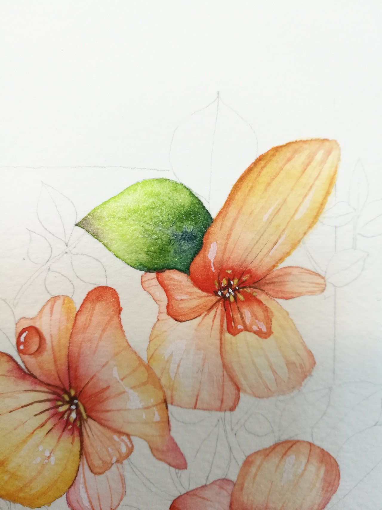 水彩画花（图ZOTM1MDg1MzY=） - 创作习作 - 站酷设计师ArleneC原创素材 - 站酷ZCOOL