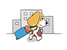 一只大学狗的生活